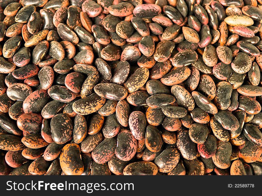 Multicolored  bean background close-up. Multicolored  bean background close-up