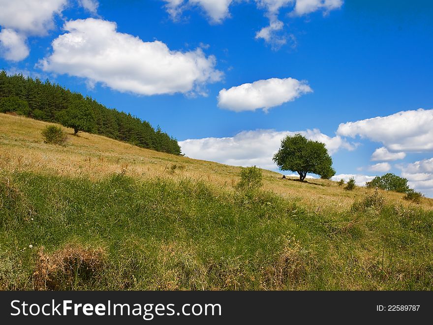 Summer landscape with trees, blue sky and clouds. Summer landscape with trees, blue sky and clouds