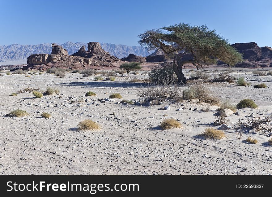 Timna park is a famous geological national reserve in Israel, is located 25 km from Eilat. Timna park is a famous geological national reserve in Israel, is located 25 km from Eilat