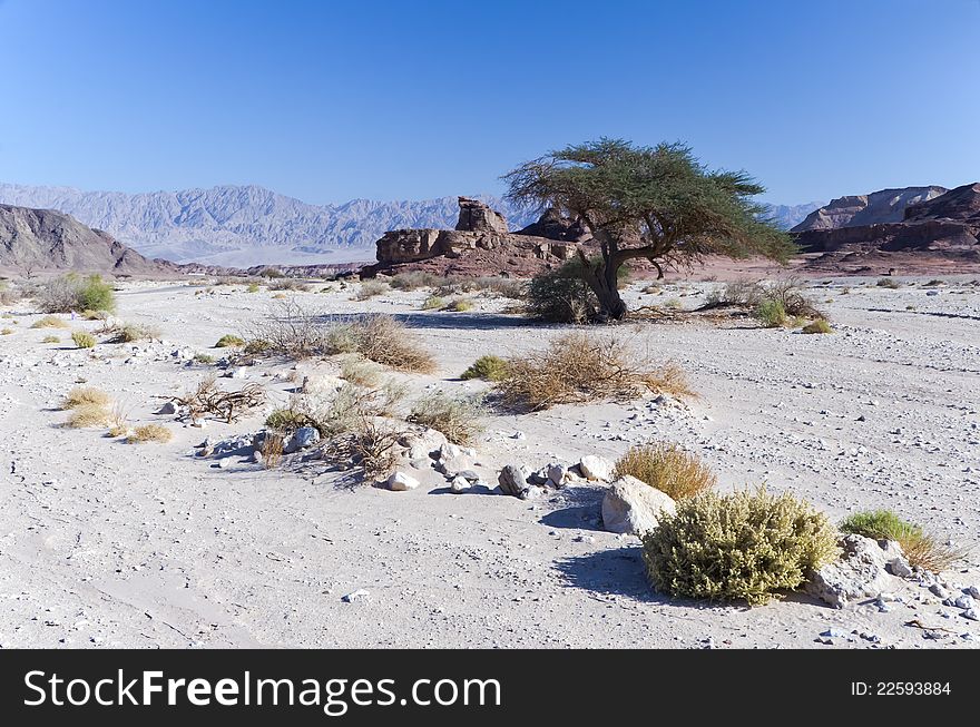 The shot was taken in a popular geological nature reserve - Timna park, 25 km from Eilat, Israel. The shot was taken in a popular geological nature reserve - Timna park, 25 km from Eilat, Israel