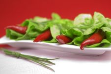 Red Chili With Oregano Stock Image Red Chili With Oregano Stock Image