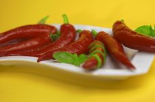Red Chili With Oregano Royalty Free Stock Photography Red Chili With Oregano Royalty Free Stock Photography