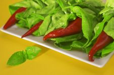 Red Chili With Salad Royalty Free Stock Images Red Chili With Salad Royalty Free Stock Images