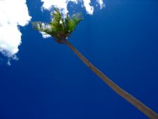 Tropical Beach Paradise Stock Photos Tropical Beach Paradise Stock Photos