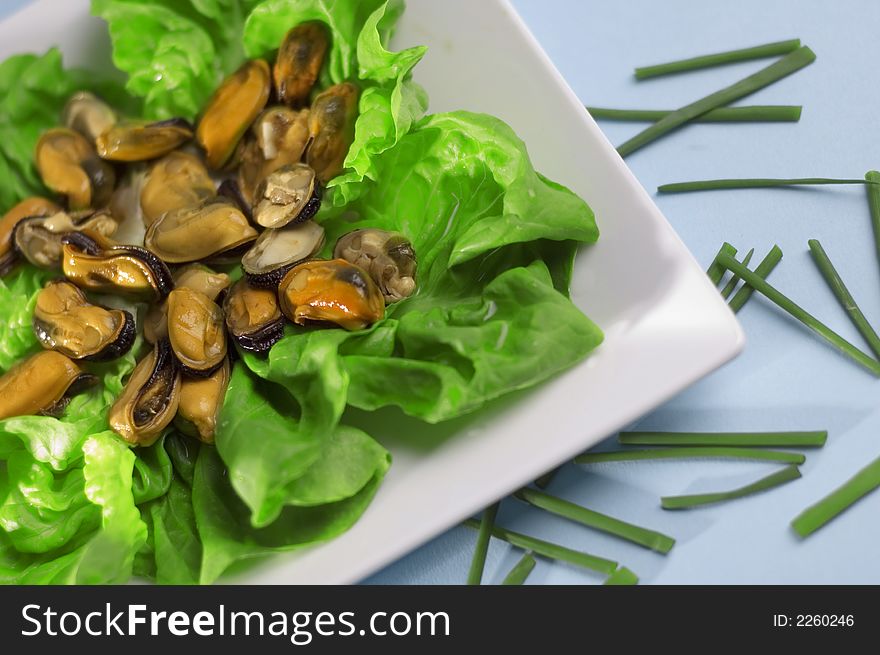 Shells with salad and green onion on the blue background