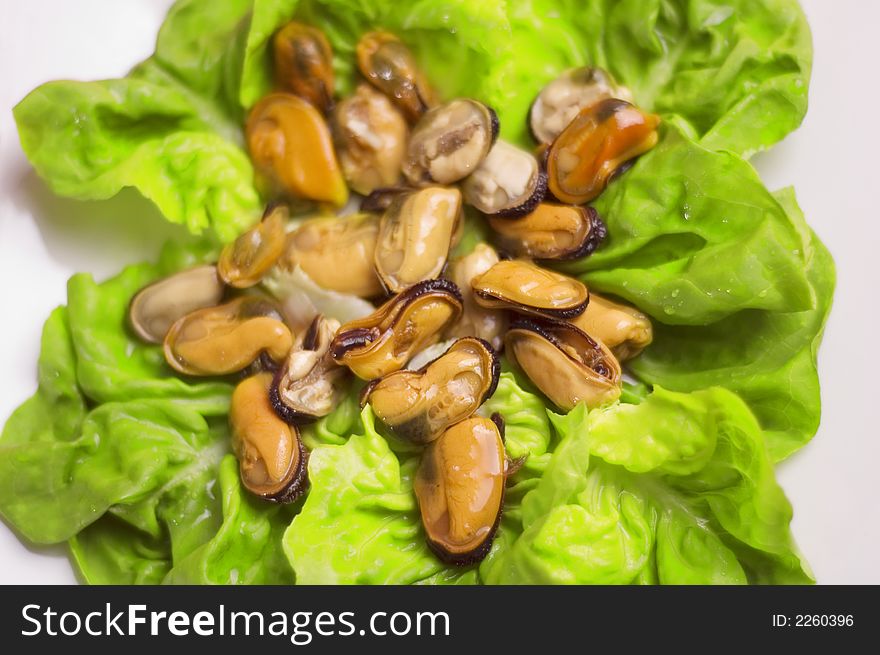 Shells with salad and green onion on the white background