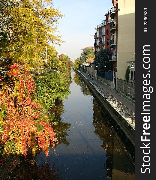 Trees with autumnal leaves along a water canal. Trees with autumnal leaves along a water canal