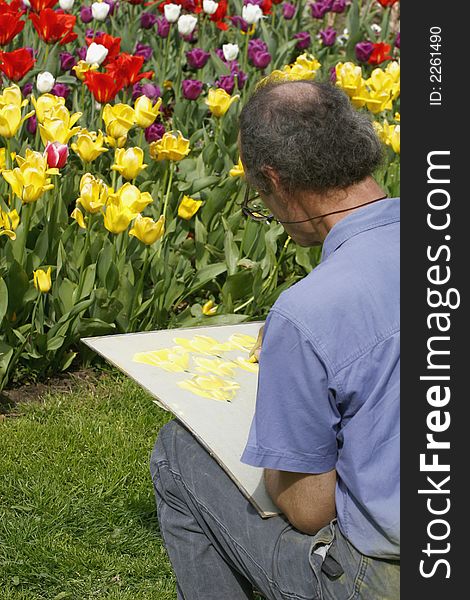 Artist paiter outdoor in tulip field in spring sun. Artist paiter outdoor in tulip field in spring sun