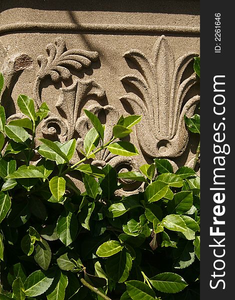 Sculpture on wall covered by leafs. Sculpture on wall covered by leafs