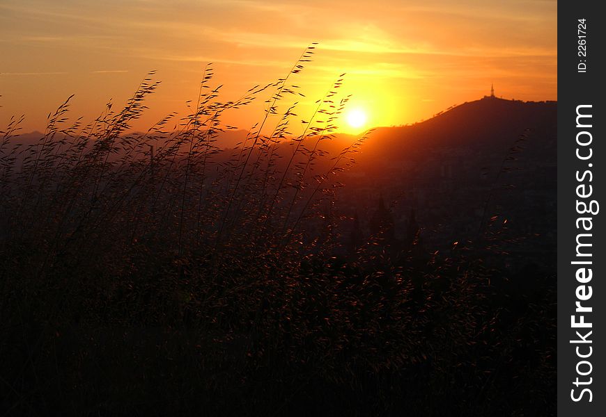 Sunset on some spikes near montjuic fortress in Barcelona. Sunset on some spikes near montjuic fortress in Barcelona