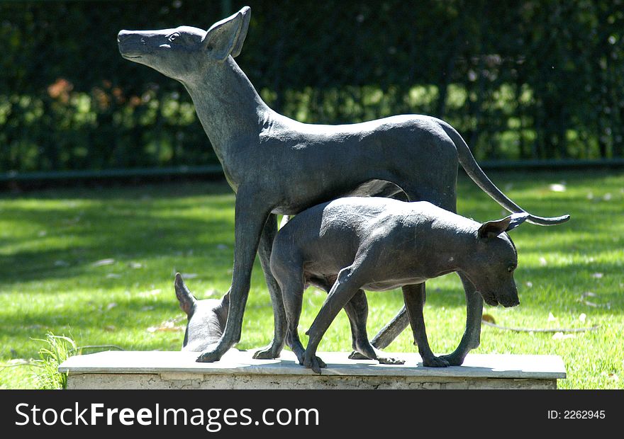 Dogs And Their Statue - Mexico