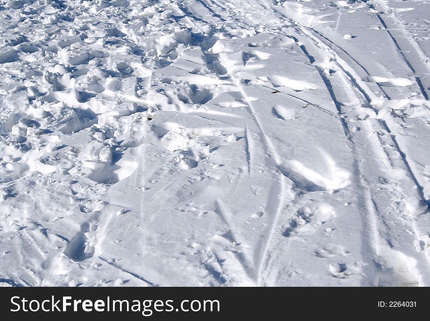 Traces on a snow. Winter