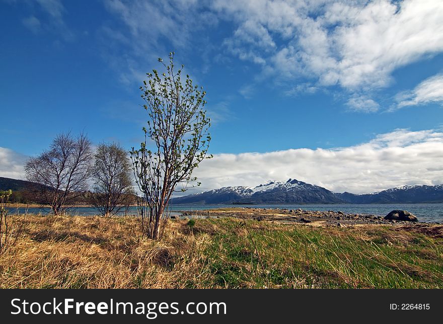 Lofoten Islands - coast in North Norway