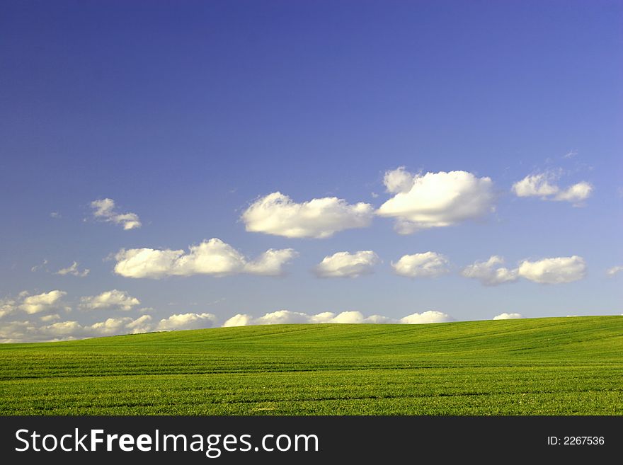 Green Field And Blue Sky