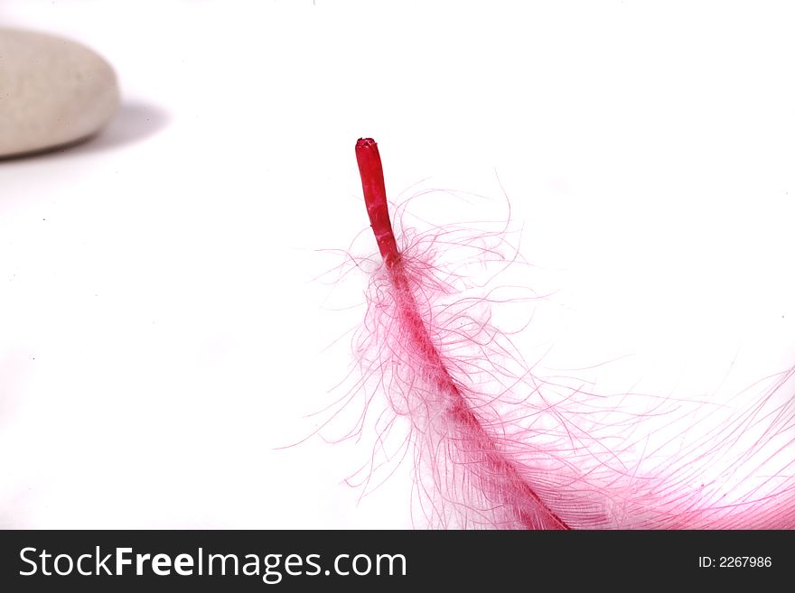 Rock and pink feather on white background