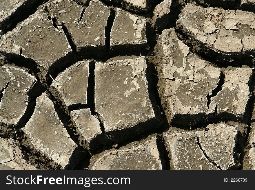 Cracked Earth