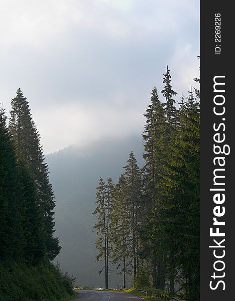 Mountain landscape in the summer, foggy morning. Mountain landscape in the summer, foggy morning