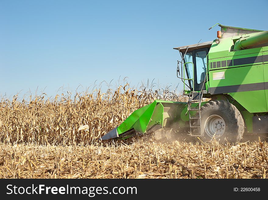 Combine harvesting a corn field