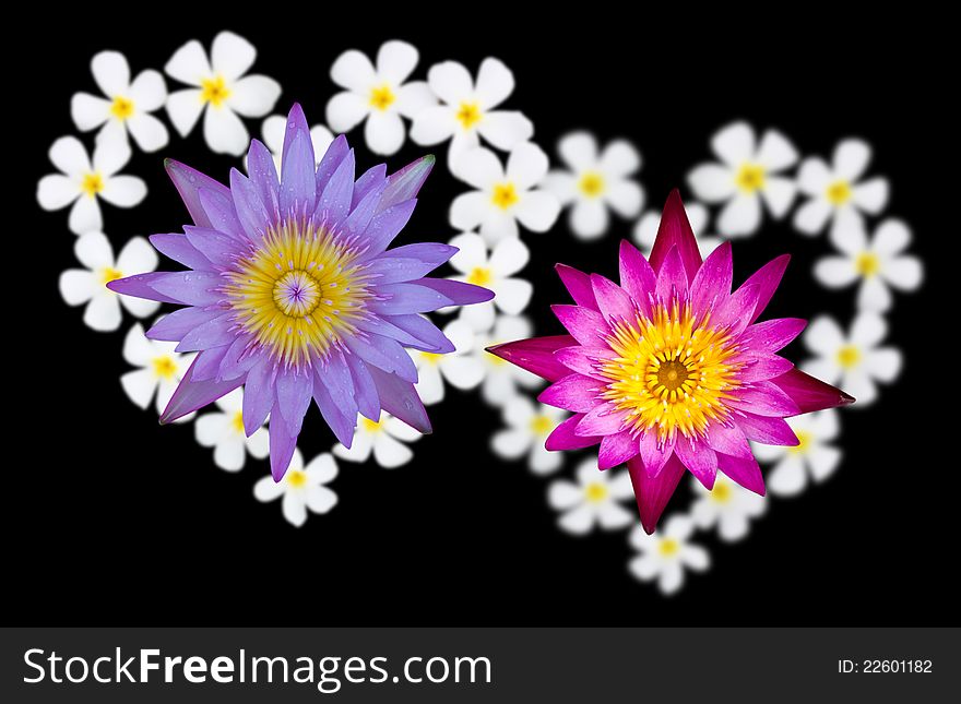 Two Lotus flowers above heart-shaped flowers. Two Lotus flowers above heart-shaped flowers.