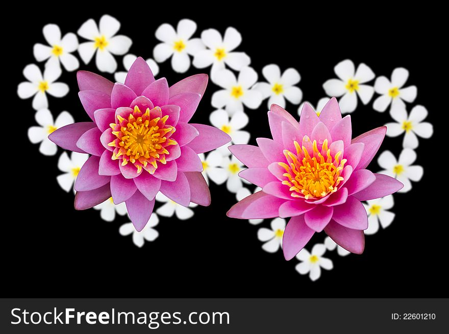 Two Lotus flowers above heart-shaped flowers. Two Lotus flowers above heart-shaped flowers.