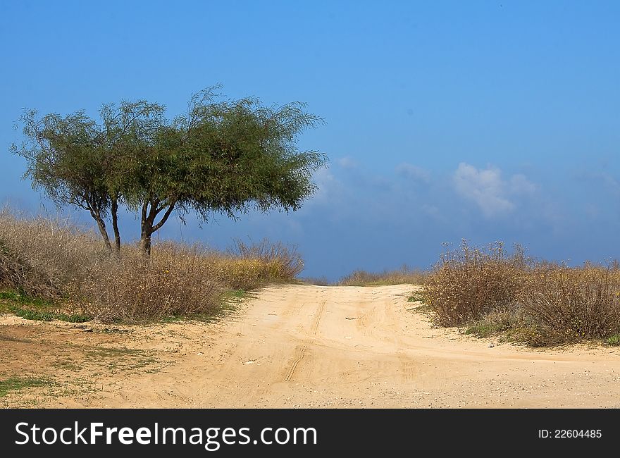 A dirt road passes through a sandy, desert wash. A dirt road passes through a sandy, desert wash