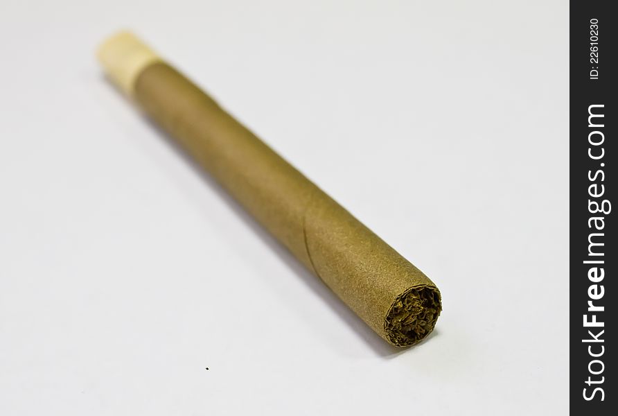 Cigar on a white background
