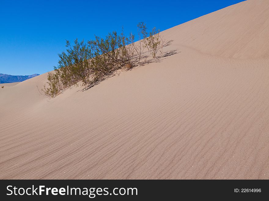 This image captures the intricate patterns of the Mesquite sand dunes in Death Valley National Park. This image captures the intricate patterns of the Mesquite sand dunes in Death Valley National Park.