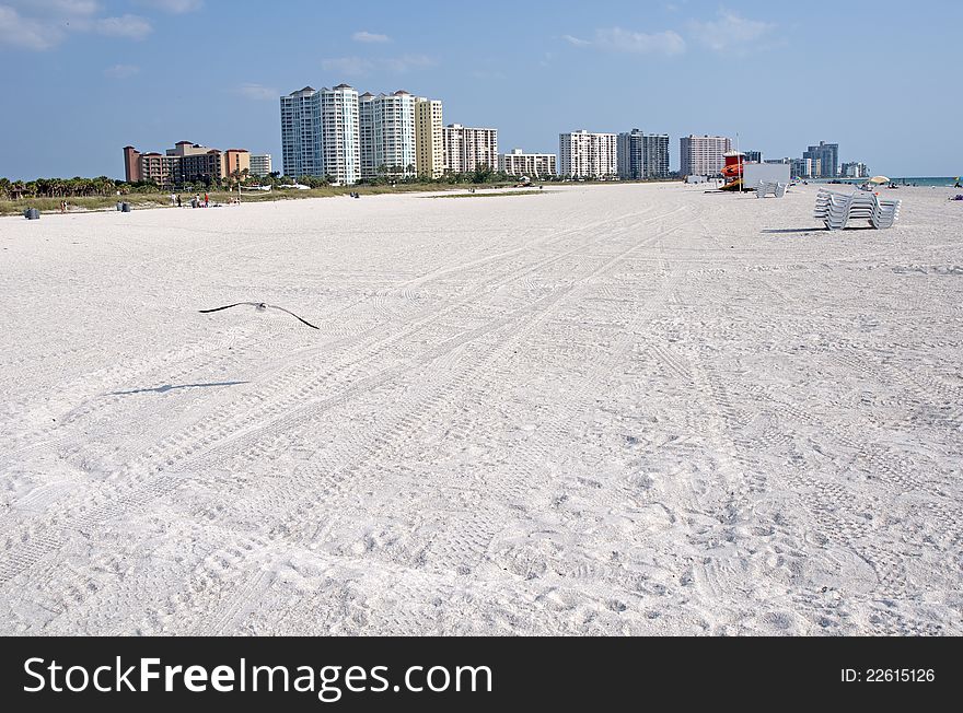 Beach coastline, on a sunny day, with a flying seagull in the foreground and buildings in the background. Beach coastline, on a sunny day, with a flying seagull in the foreground and buildings in the background.