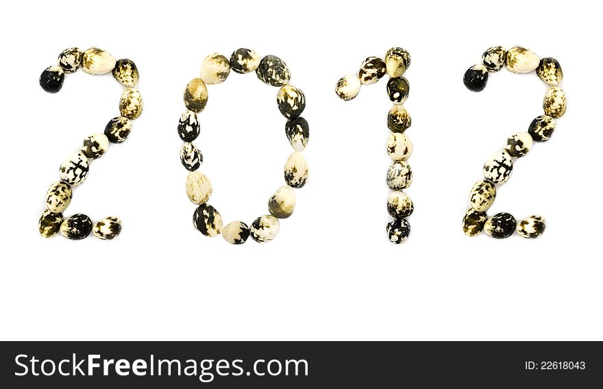 2012 New Year message made from shellfish and isolated on white background. 2012 New Year message made from shellfish and isolated on white background