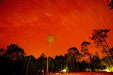 Wild Twilight Time Royalty Free Stock Photography Wild Twilight Time Royalty Free Stock Photography