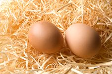 Barn Eggs Royalty Free Stock Photo Barn Eggs Royalty Free Stock Photo