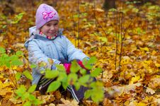 Girls Kid Smiling In Autumn Leaves Background Stock Image Girls Kid Smiling In Autumn Leaves Background Stock Image