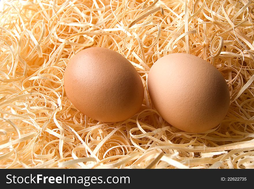 Two newly hatched barn eggs on natural bedding. Natural light produces soft shadows. Sharp focus on shell speckles. Copy space.