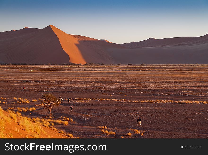 High dune in Namib Desert, Namibia