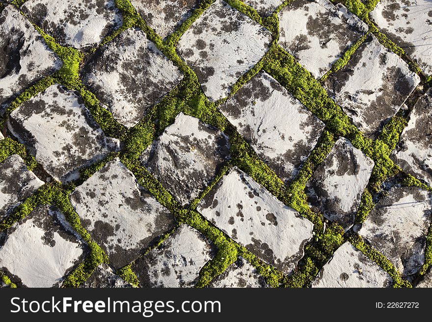 Traditional portuguese pavement covered with moss. Traditional portuguese pavement covered with moss