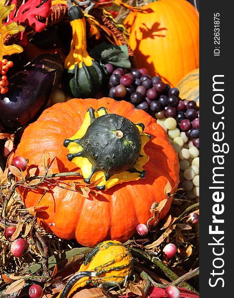 A colorful autum display consisting of gourds, grapes, hay bales, and leaves. A colorful autum display consisting of gourds, grapes, hay bales, and leaves.