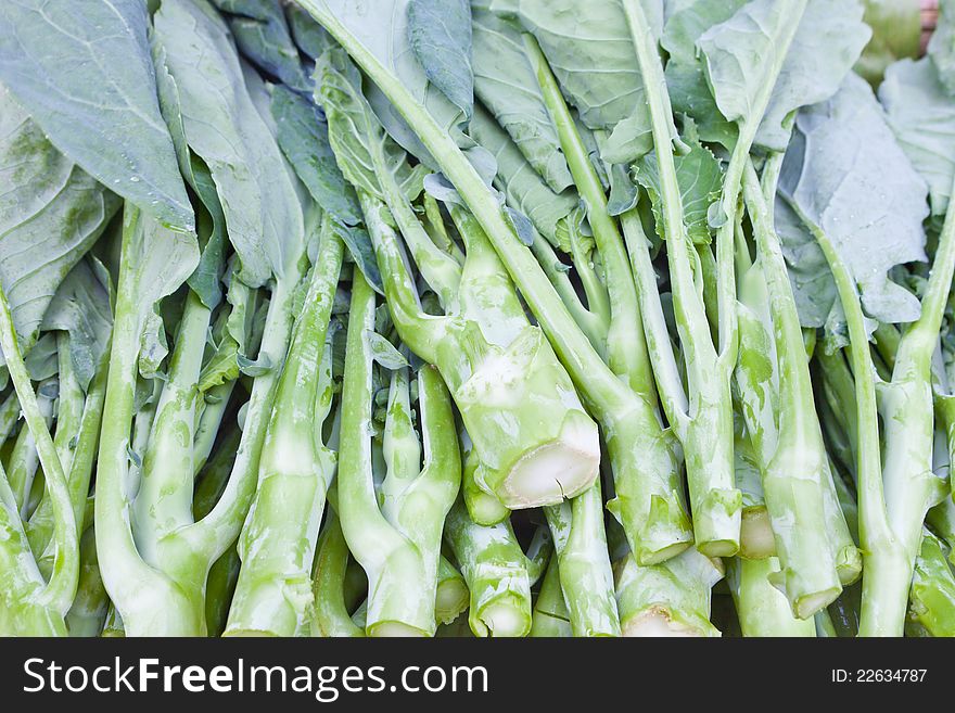 Closeup Chinese Broccoli