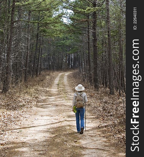 A hiker heads down the trail through a forest of pine trees. A hiker heads down the trail through a forest of pine trees.