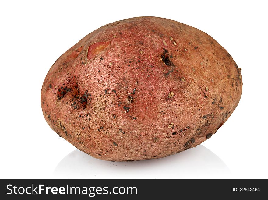 The dirty potato on a white background. The dirty potato on a white background.