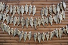 Dried Fish Stock Photos Dried Fish Stock Photos