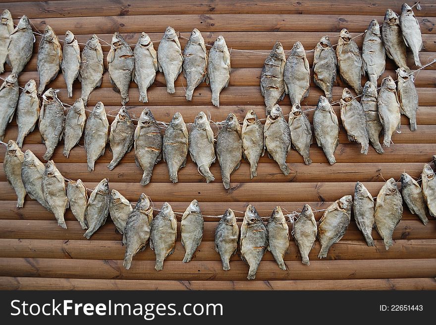 Garland of salted and dried fish on wooden wall