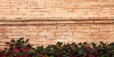 Block With Tree Frame Royalty Free Stock Photos Block With Tree Frame Royalty Free Stock Photos