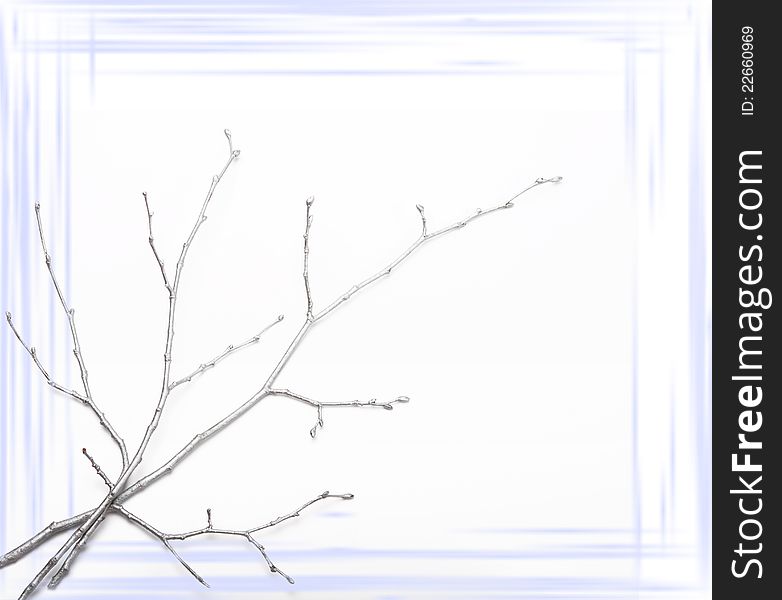 White background with the silver branches. White background with the silver branches.