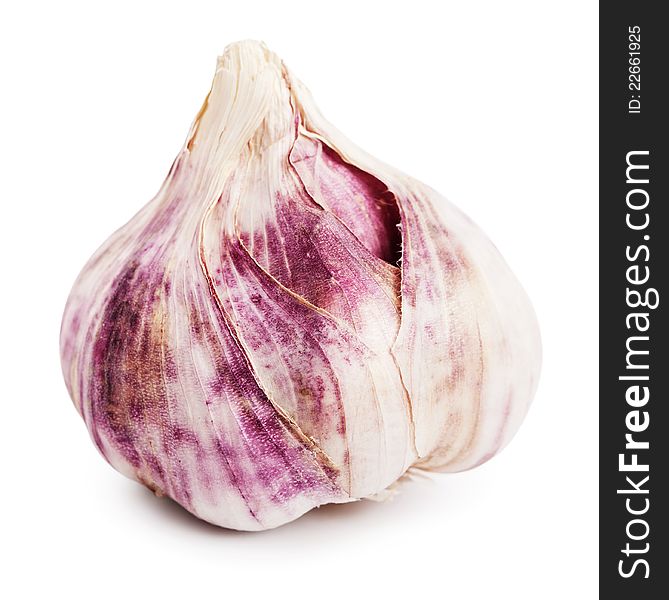 Single garlic bulb on a white background.