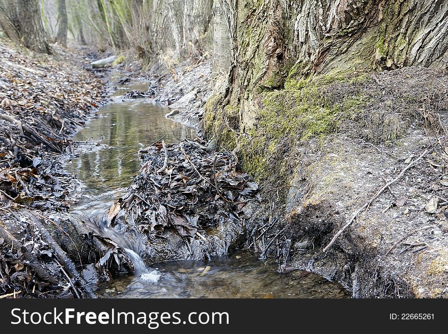 Melioration stream flowing between old trees in winter season