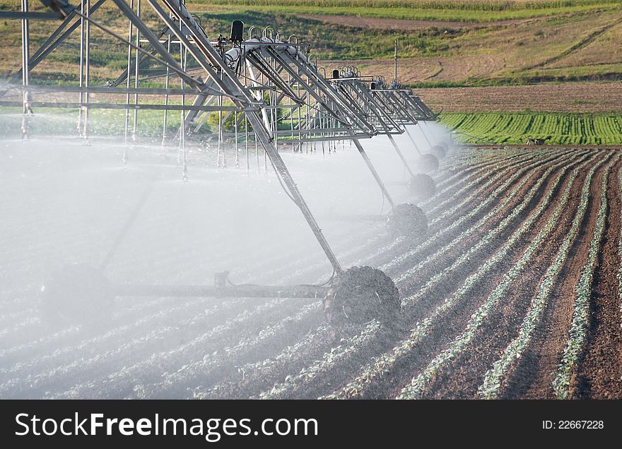 Irrigation Wheel Line in field