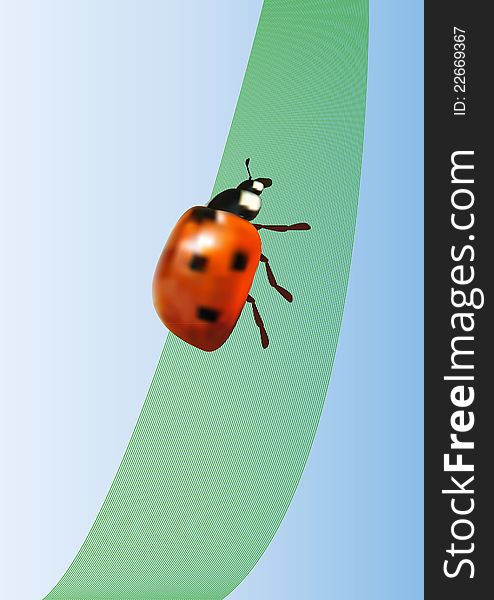 Vector Ladybird