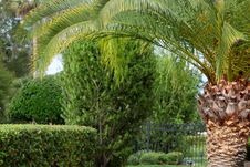 Tropical Garden Royalty Free Stock Images Tropical Garden Royalty Free Stock Images