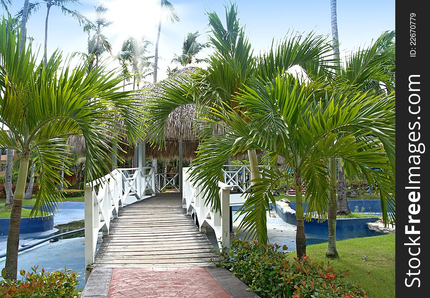 Tropical Park. Bridge to summerhouse. Tropical Park. Bridge to summerhouse