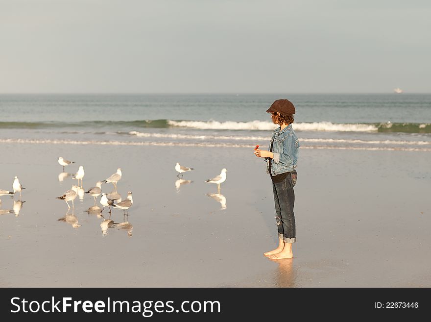 Girl On Beach With Seagulls